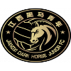 Jiangxi Dark Horse Junior